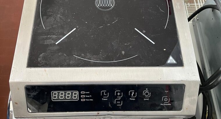 piastre elettriche professionali ad induzione