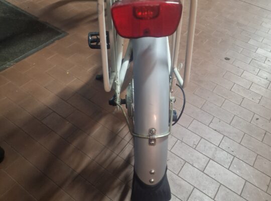 Bicicletta elettrica da donna