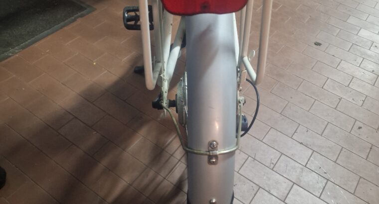 Bicicletta elettrica da donna