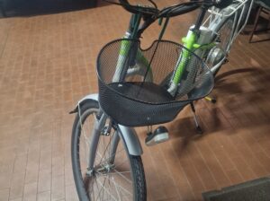 Bicicletta elettrica da donna