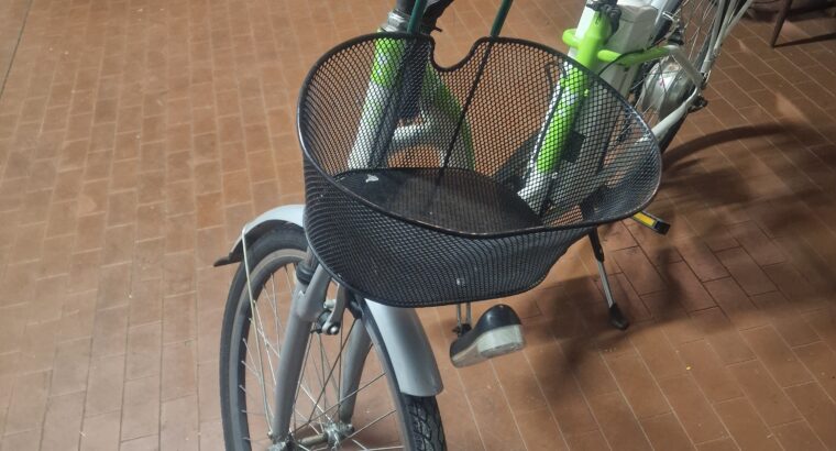 Bicicletta elettrica da donna