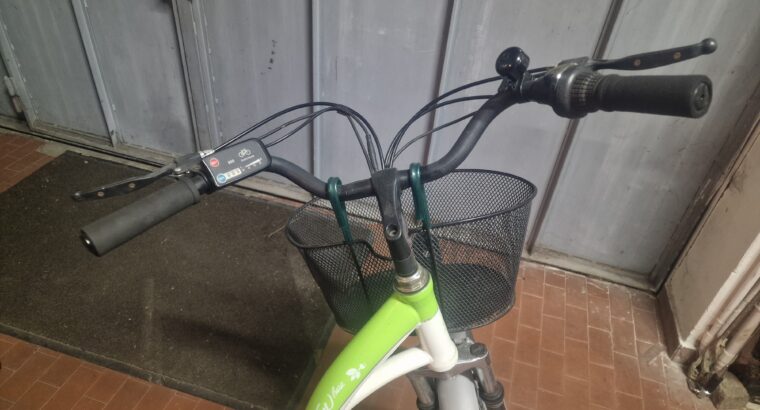 Bicicletta elettrica da donna
