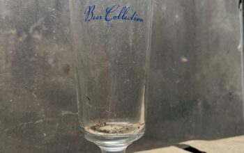 Bicchieri birra nuovi